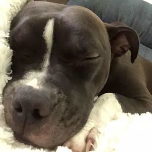 Meet your Posher, Derek